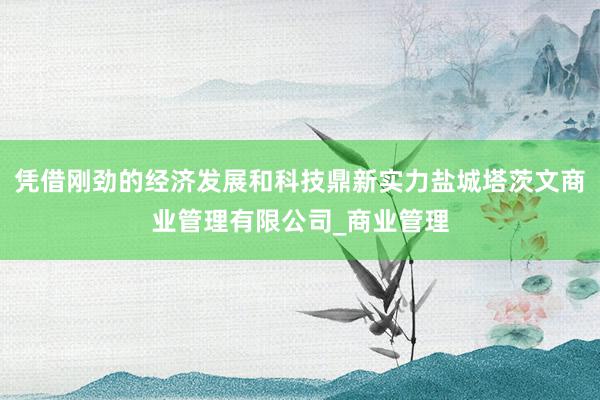 凭借刚劲的经济发展和科技鼎新实力盐城塔茨文商业管理有限公司_商业管理